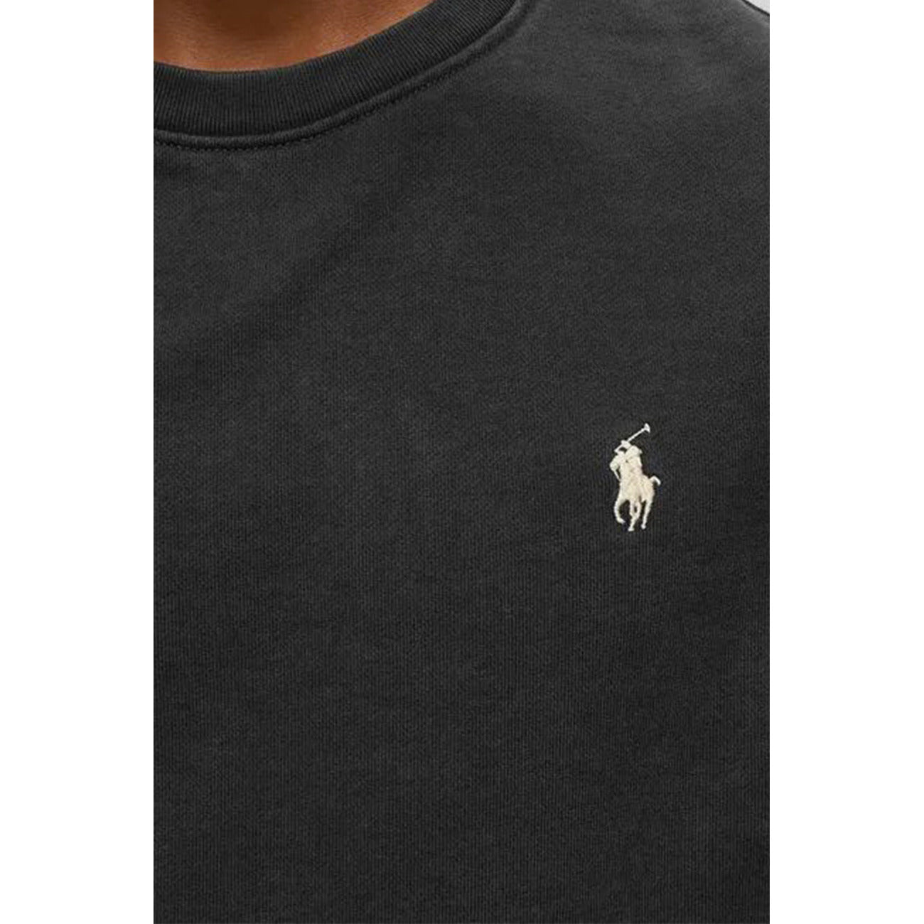 Polo Ralph Lauren Men Sweatshirts